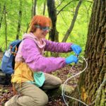 Rooted in Stewardship: The William Penn Forest District with Rick Hartlieb - Think Outside Pennsylvania Parks and Forests Foundation3