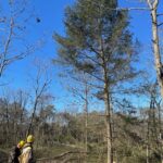 Rooted in Stewardship: The William Penn Forest District with Rick Hartlieb - Think Outside Pennsylvania Parks and Forests Foundation4