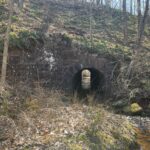 Rooted in Stewardship: The William Penn Forest District with Rick Hartlieb - Think Outside Pennsylvania Parks and Forests Foundation6