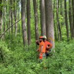 Rooted in Stewardship: The William Penn Forest District with Rick Hartlieb - Think Outside Pennsylvania Parks and Forests Foundation2