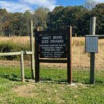 Rooted in Stewardship: The William Penn Forest District with Rick Hartlieb - Think Outside Pennsylvania Parks and Forests Foundation1