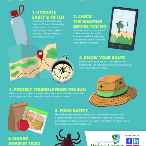 Summer Safety