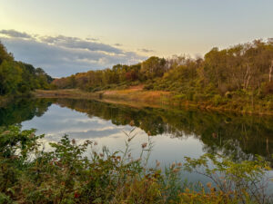 HillmanSP Pond Reflect ZacShopene HillmanSP Pond Reflect ZacShopene